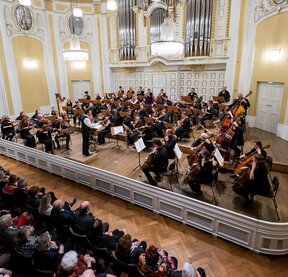 Faschingsmatinee, Helmut Zeilner © Albert Moser Faschingsmatinee, Helmut Zeilner © Albert Moser