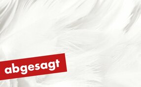 Mozarteumorchester Salzburg | © Shutterstock_nadtytok