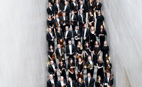 Mozarteumorchester Salzburg ohne Chefdirigent Riccardo Minasi_große Besetzung_2┬®Nancy Horowitz | © ®Nancy Horowitz