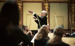 Martin Haselböck | © Meinrad Hofer