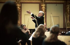 Martin Haselböck | © Meinrad Hofer