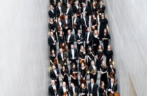 Mozarteumorchester Salzburg | © Nancy Horowitz