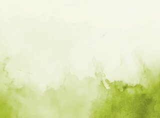 © SKV/Shutterstock, white shama